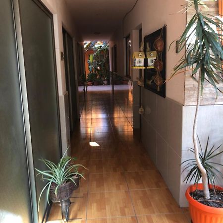 Apartament Casa Alejandra Antofagasta Zewnętrze zdjęcie